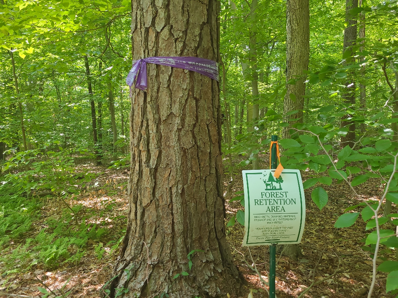 26.48ac_McKenneyLn_QAnnes_34