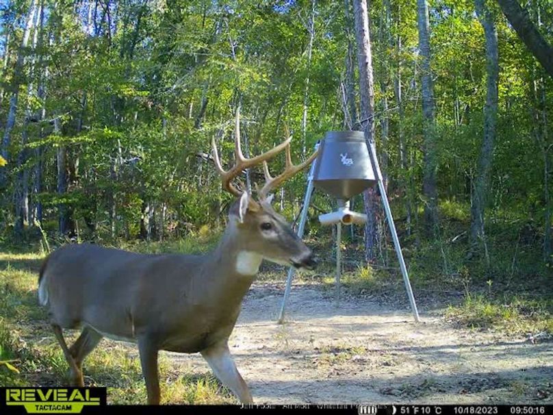 Holmes County - 108 - Rodriguez-31