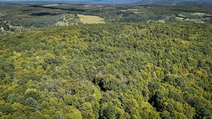 Tioga NY 64 Shores 10