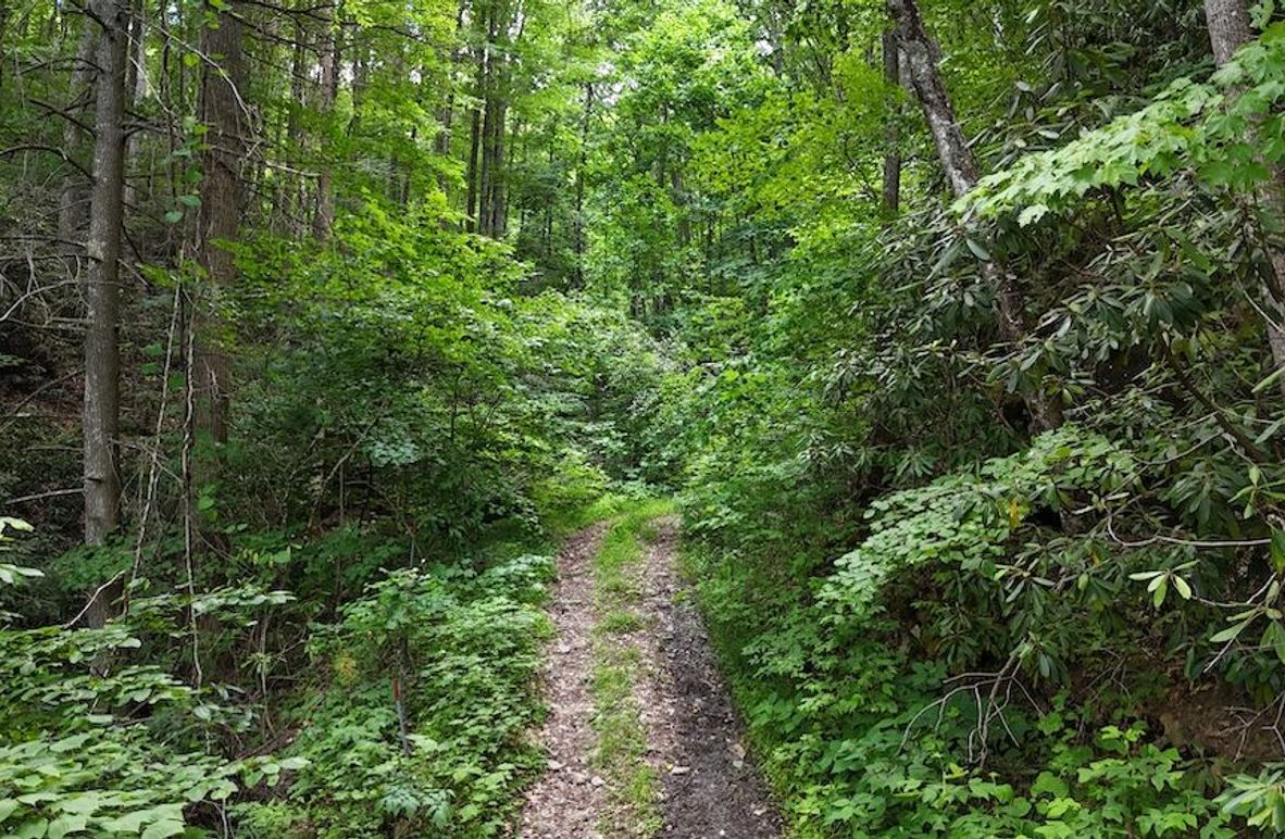 dji_fly_20240624_140626_0010_1719260735995_photo