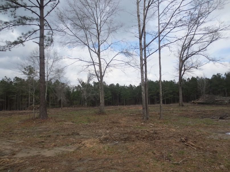 4F99AE1D-912B-4295-BC63-2E3BB0C1F048_1_105_c