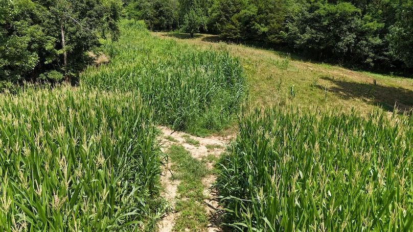 DJI_20250713152746_0578_D