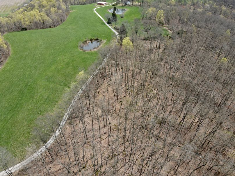 dji_fly_20230407_130620_346_1680887192307_photo