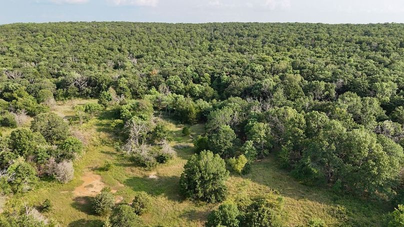 DJI_20240726183914_0024_D