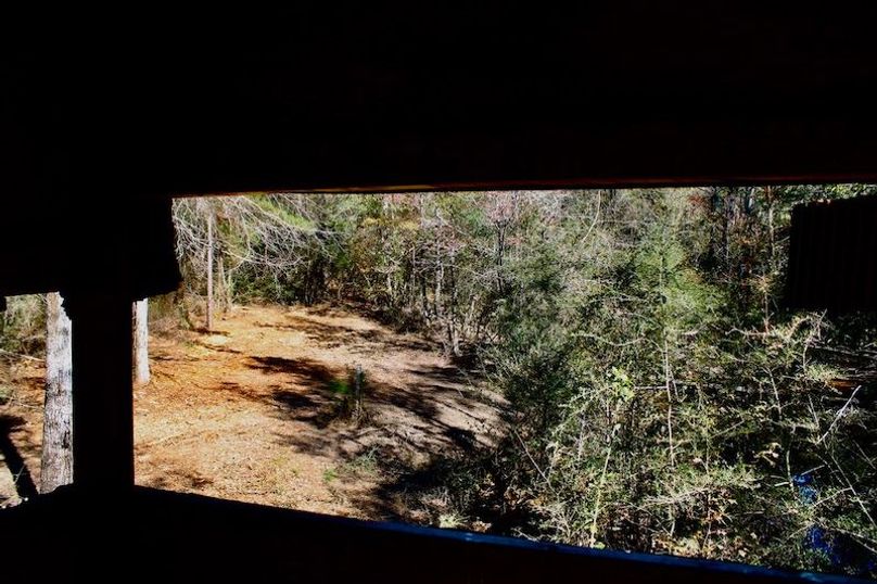 F129B072-9529-4435-A46D-68FC8E49CD52_1_105_c