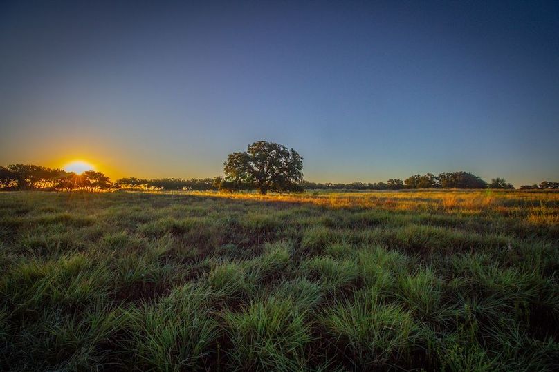 15. Pasture and mature post oak