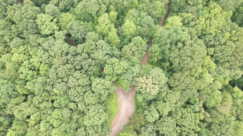 dji_fly_20250714_141714_445_1752537412094_photo