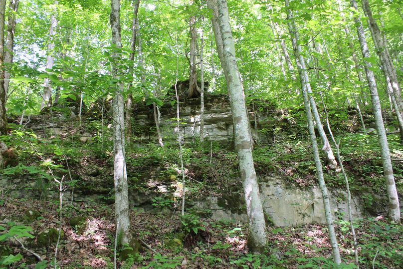 025 the rock cliff face near the old road leading down to the creek from the old homestead