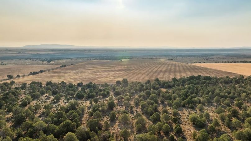DJI_0538_1