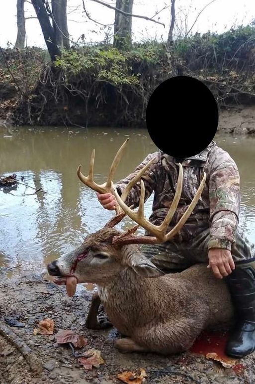 86A089A6-5E2A-400F-821C-173A949B7547_1_201_a