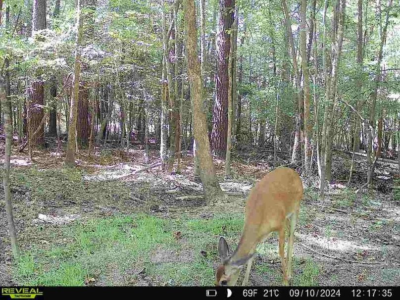 867490071175496-10-3-09102024121734-W1003287_8278894188610