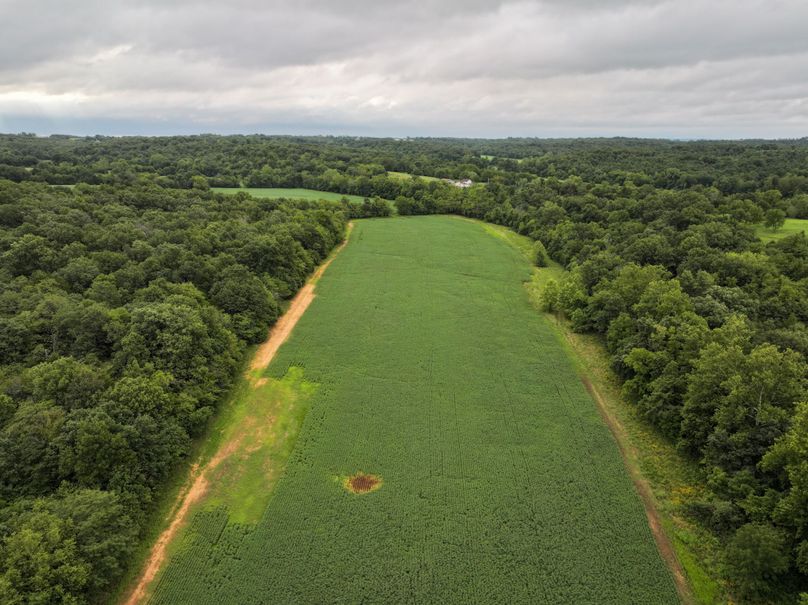 DJI_20230815075634_0002_D