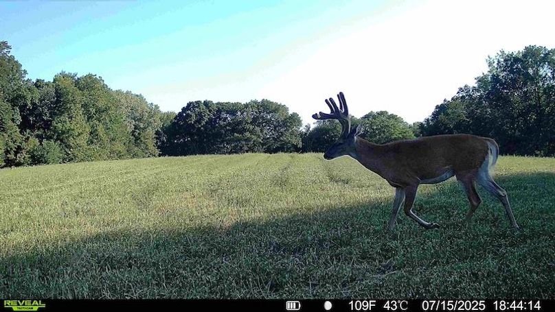 TRAIL CAM 7