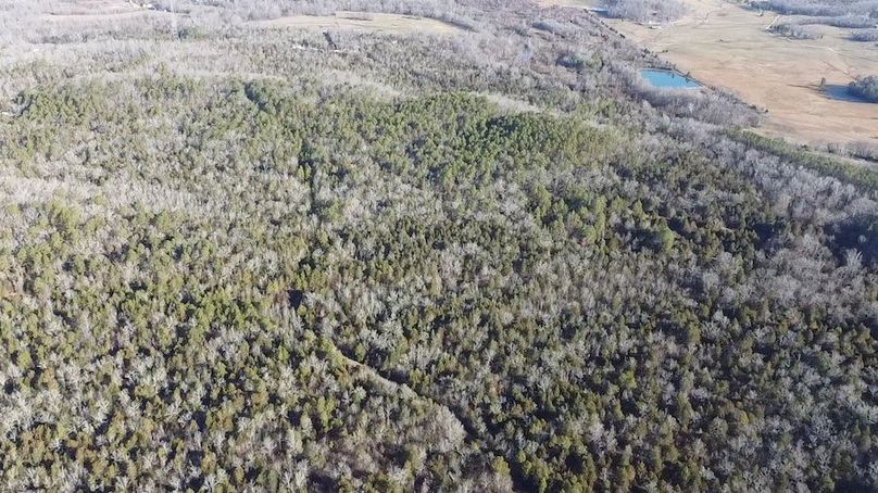 2024-02-06-09-05-21-012