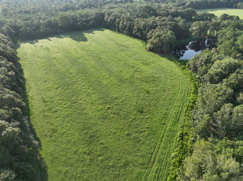 dji_fly_20230813_083318_515_1691930633999_photo