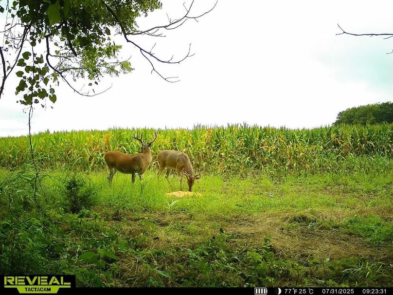 860322064549303-100-4-07312025210548-HD-SYEW0164