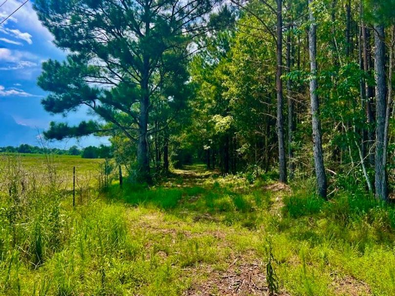 90051531-BDBA-4E86-A844-D3EE36158A56_1_105_c