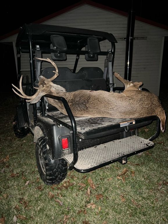 54.03 Houston Deer-11
