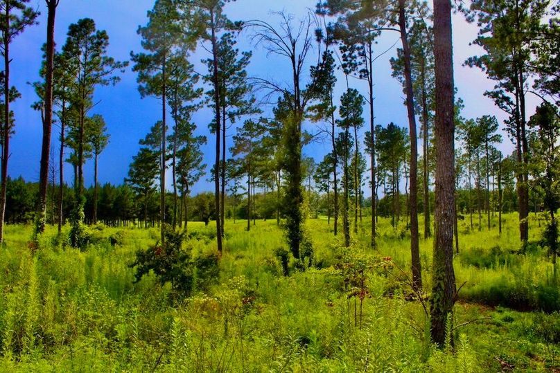 19DA2ABD-0271-45EA-955C-D6DE11304B6F_1_105_c