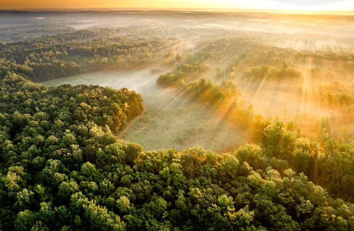 Itawamba 400 Moore-01