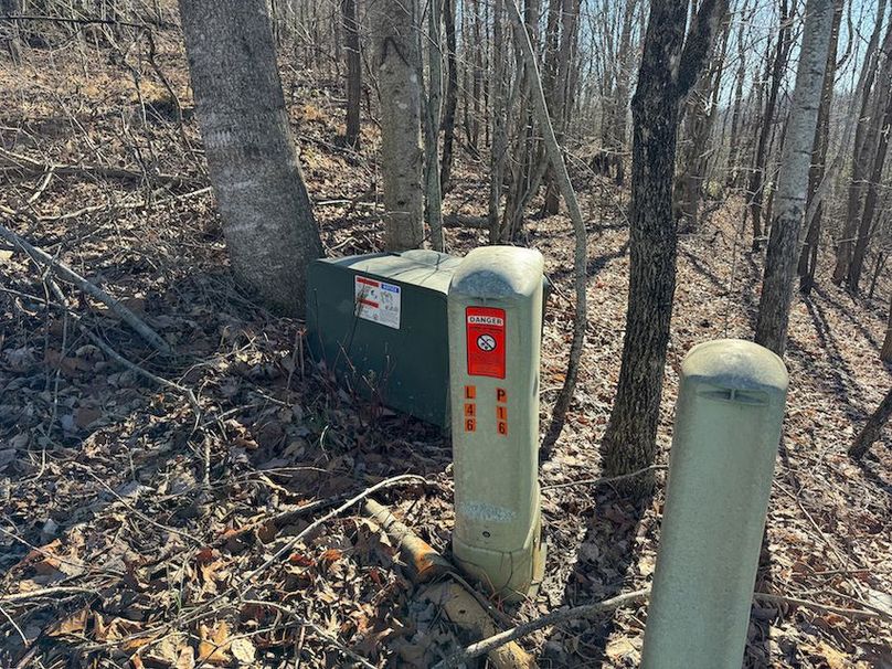 Clay 124.76 Fleaback-02