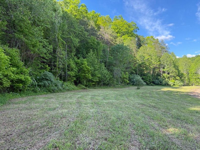 016 more of the open fields in the northeast part of the property