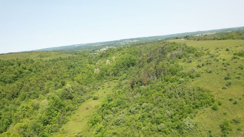 dji_fly_20250602_115606_293_1748879845229_photo