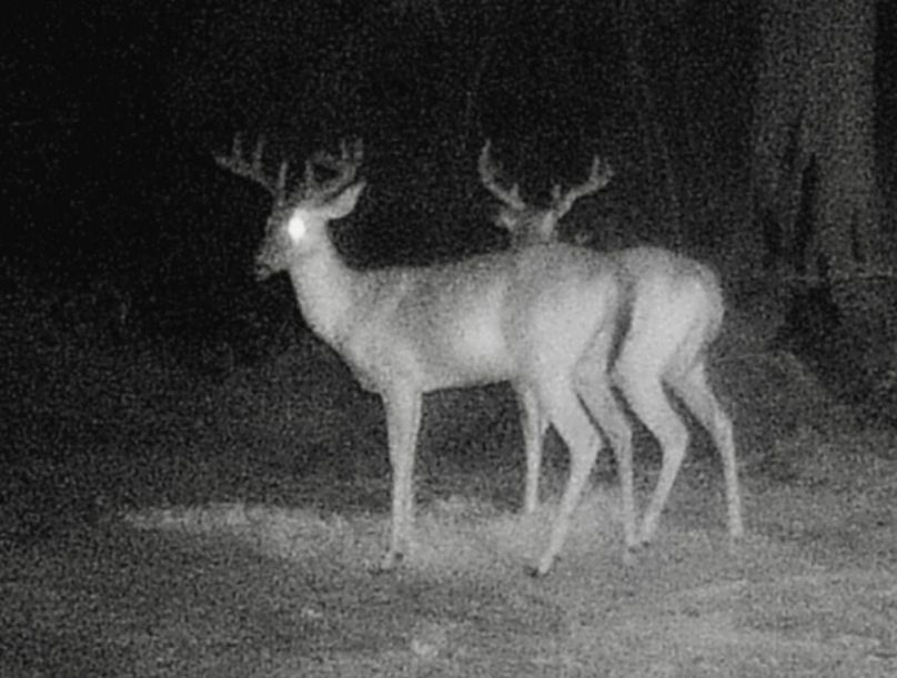 Screenshot_20210801-135913_Gallery