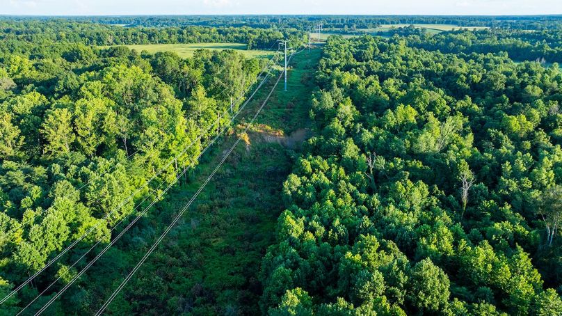 DJI_20250805061010_0008_D