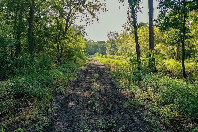 12 Leon Co. 117ac-04