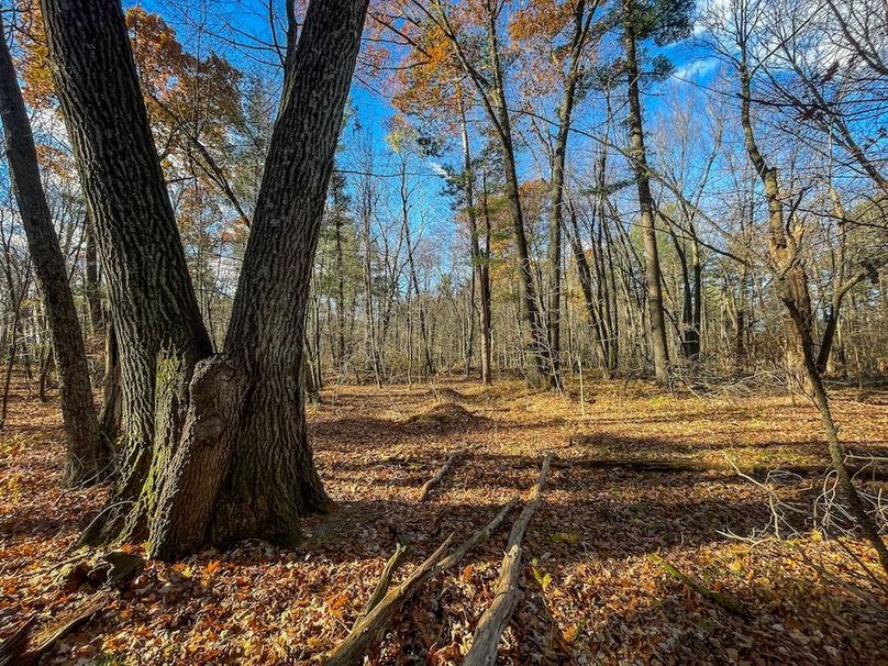 Portage 150.81 JMJK Prop-10