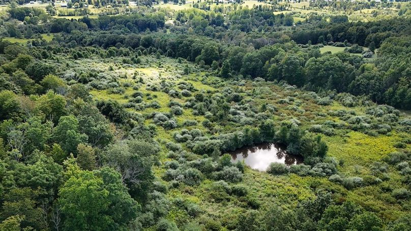 Tioga NY 232.62 Shores Photos 17