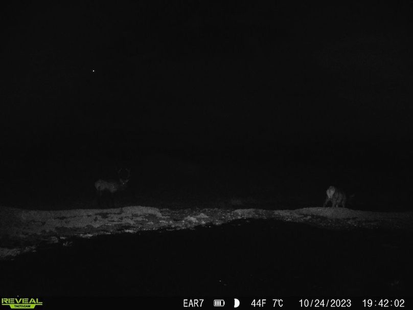 Copy of Copy of 04ababc4-4177-4ef7-aafe-b8f362394b56