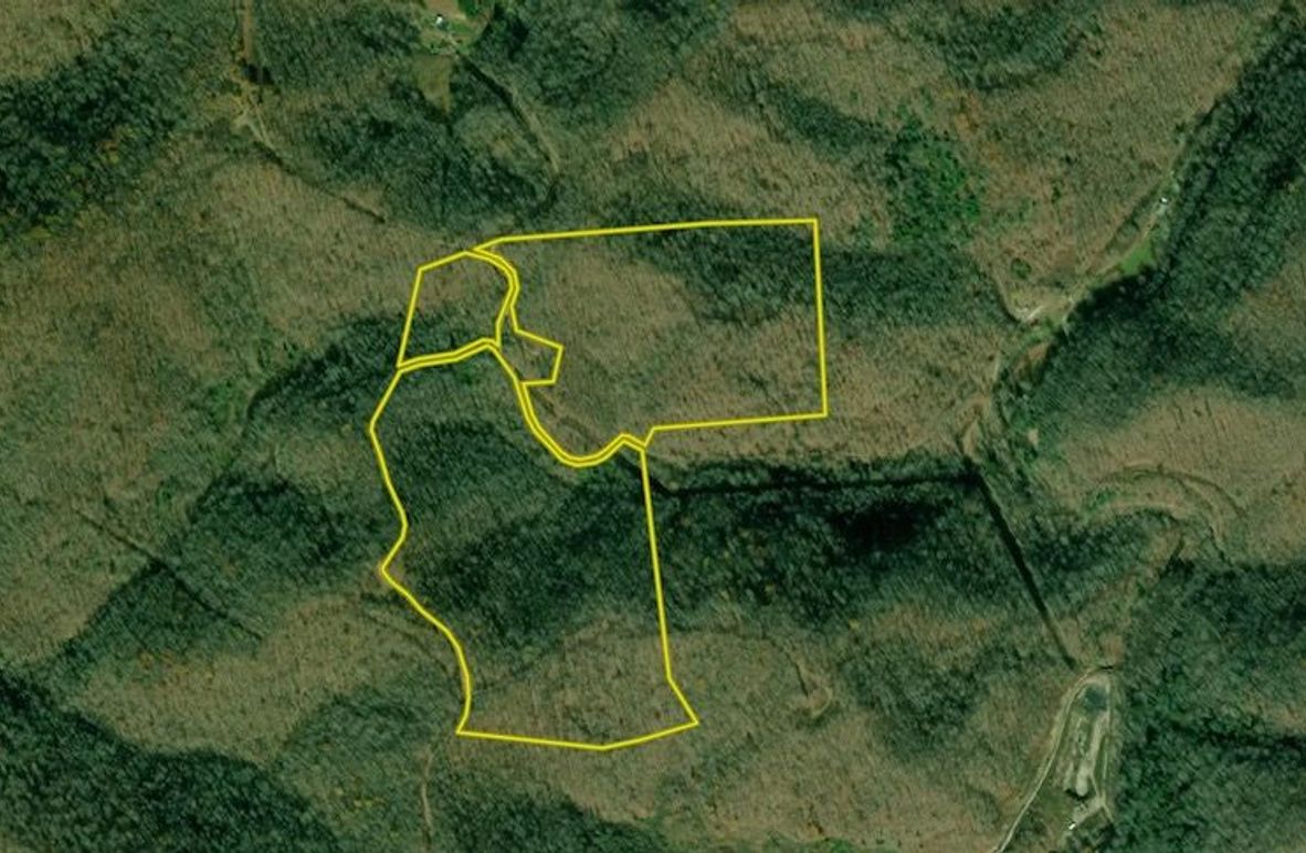 Screenshot 2025-05-04 at 1.12.13 PM