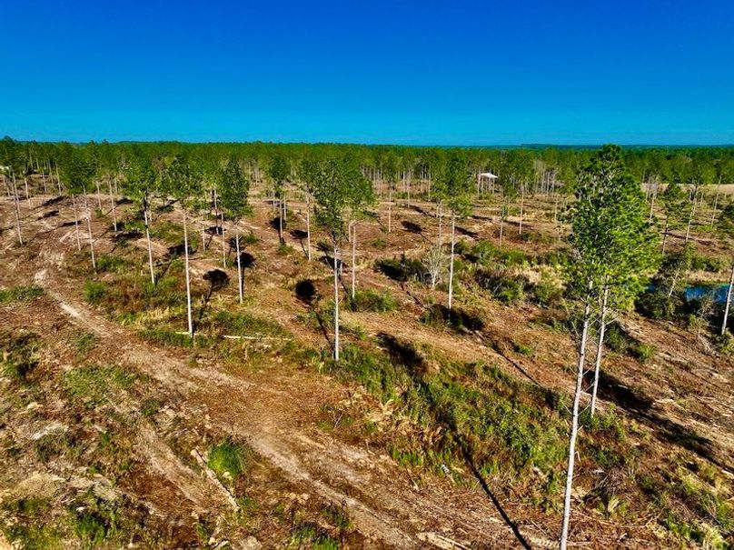 EC23F630-919A-4CDF-A89B-0C0A75BA3AE1_1_201_a