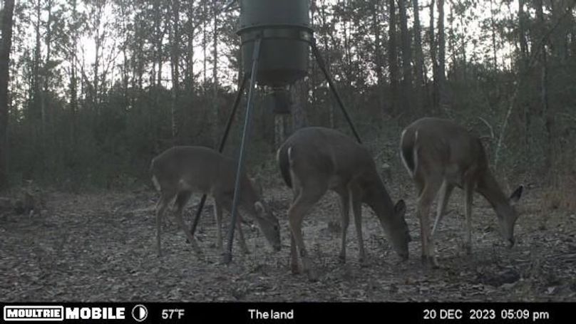 image638476368405241510