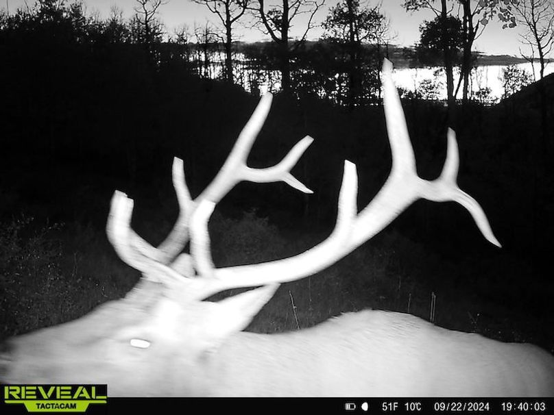 Copy of 864049052055672-20-4-09222024194002-HD-W1001191 (1)