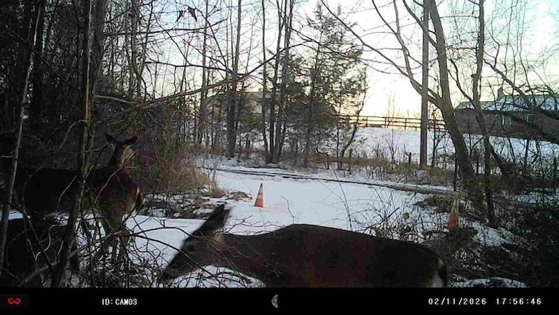 vlcsnap-2026-05-01-20h04m38s164