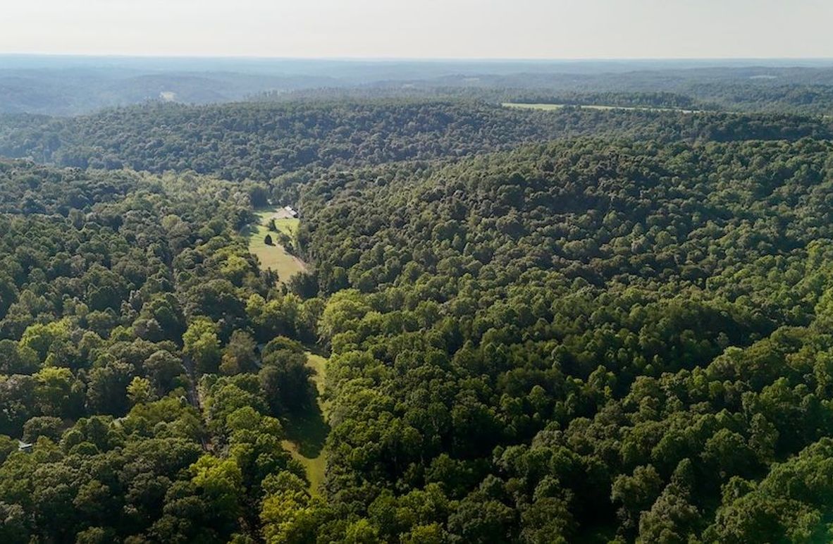 dji_fly_20250819_093144_0580_1755617547428_photo