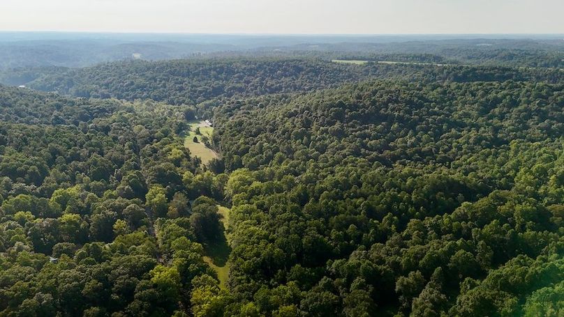 dji_fly_20250819_093144_0580_1755617547428_photo