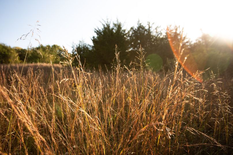 FREMONT CO. IA 158.32_24