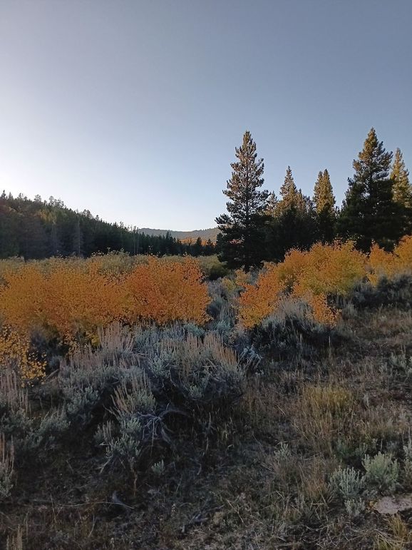 Resized_20250923_181805