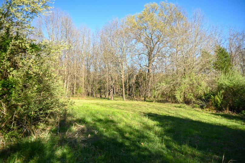 vandalia 450 (2)-2475