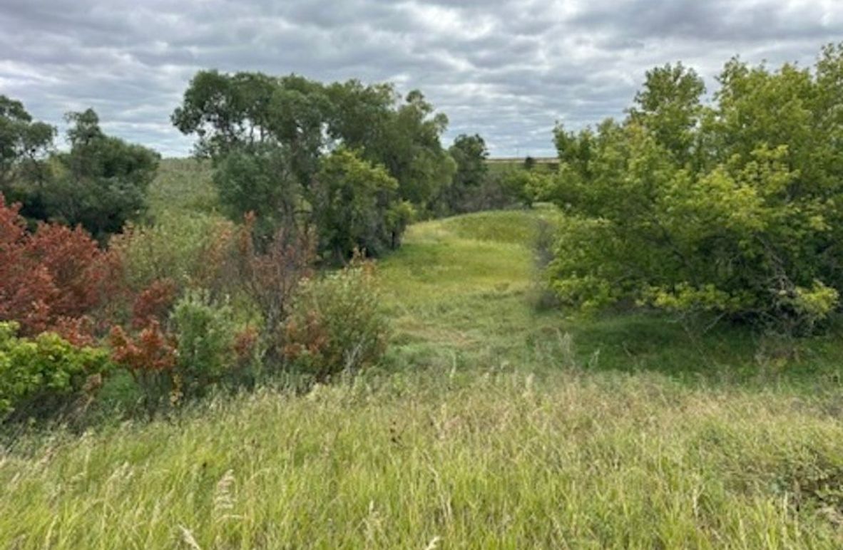 8B15EA87-68BA-498F-9457-E31C9C6AC59A_4_5005_c