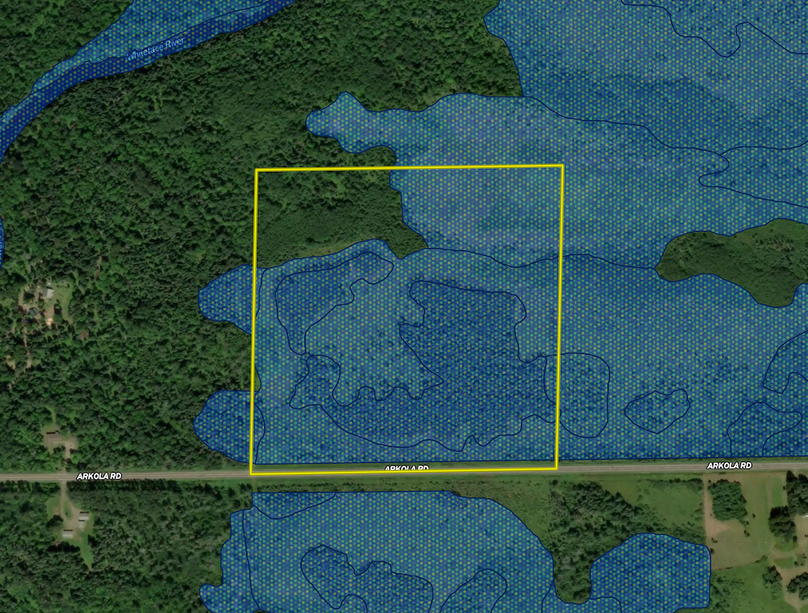 TBD Arkola Rd. wetland layer
