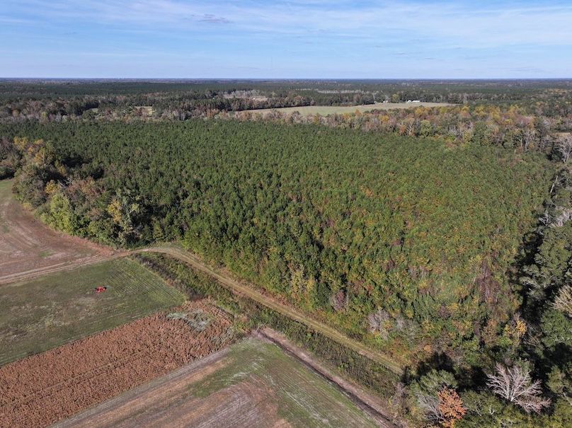 DJI_20241104150405_0020_D