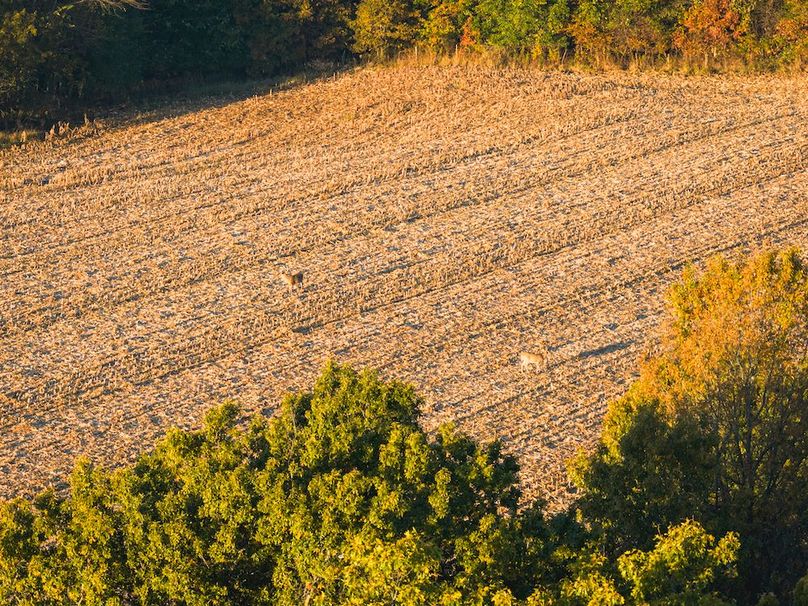 DJI_20251031082157_0203_D-HDR