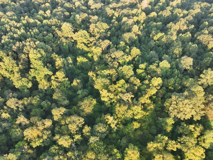 dji_fly_20250909_072520_185_1757426928142_photo