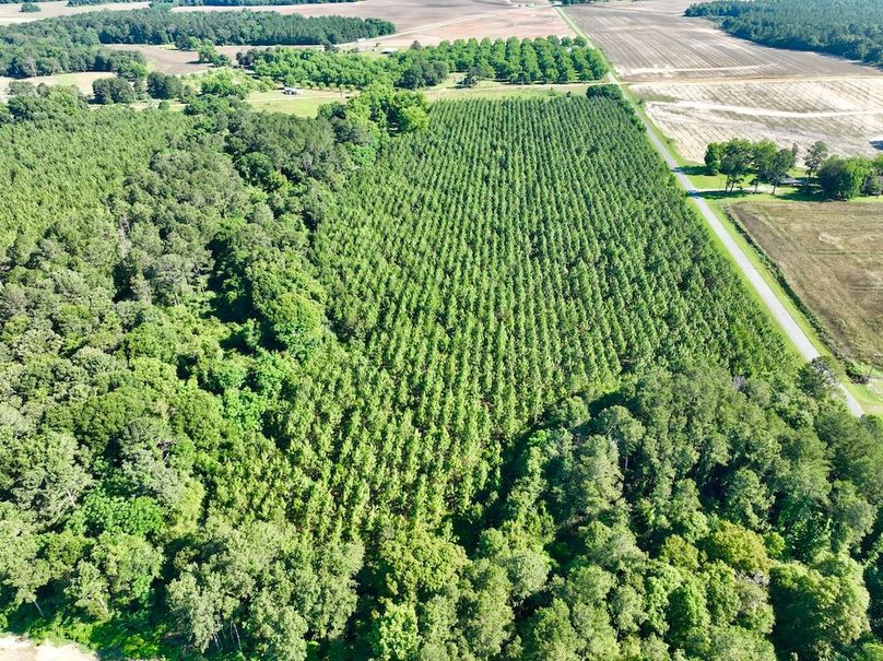 dji_fly_20240521_094638_376_1716299357700_photo