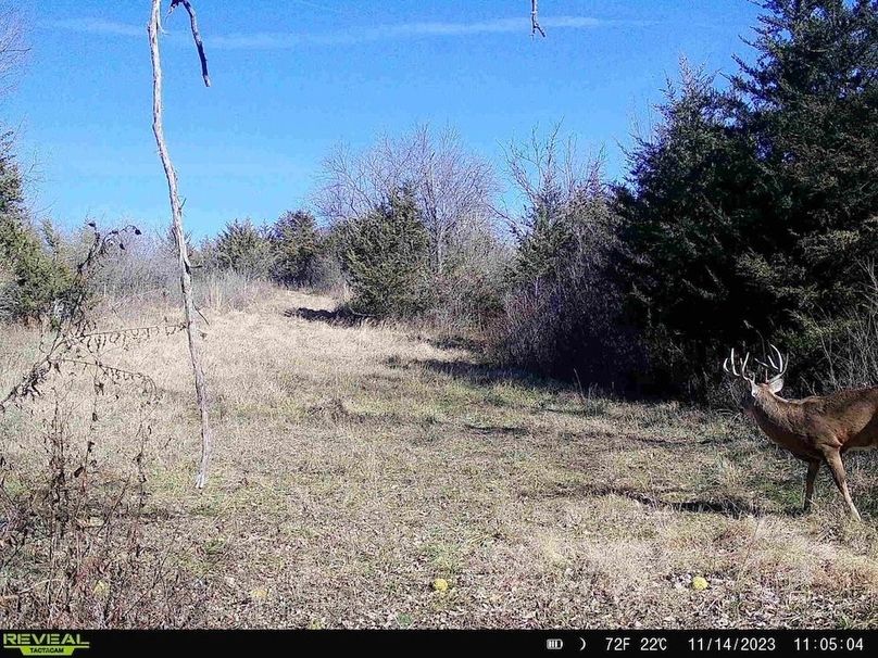 864049058900749-50-2-11142023112952-HD-SYFW3756